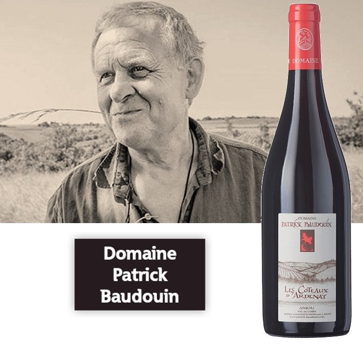 Domaine Patrick Baudouin