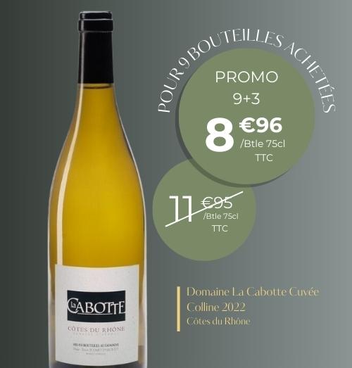 Côtes du Rhône - 2022