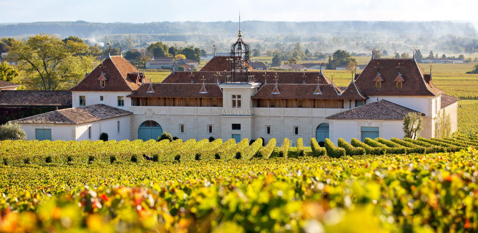 Château Angélus Château Angélus