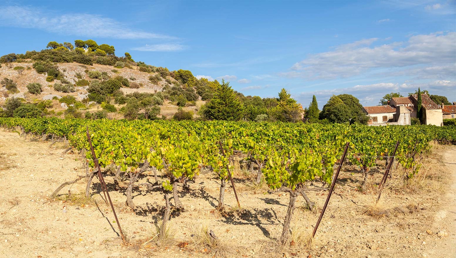 Domaine Alain Chabanon