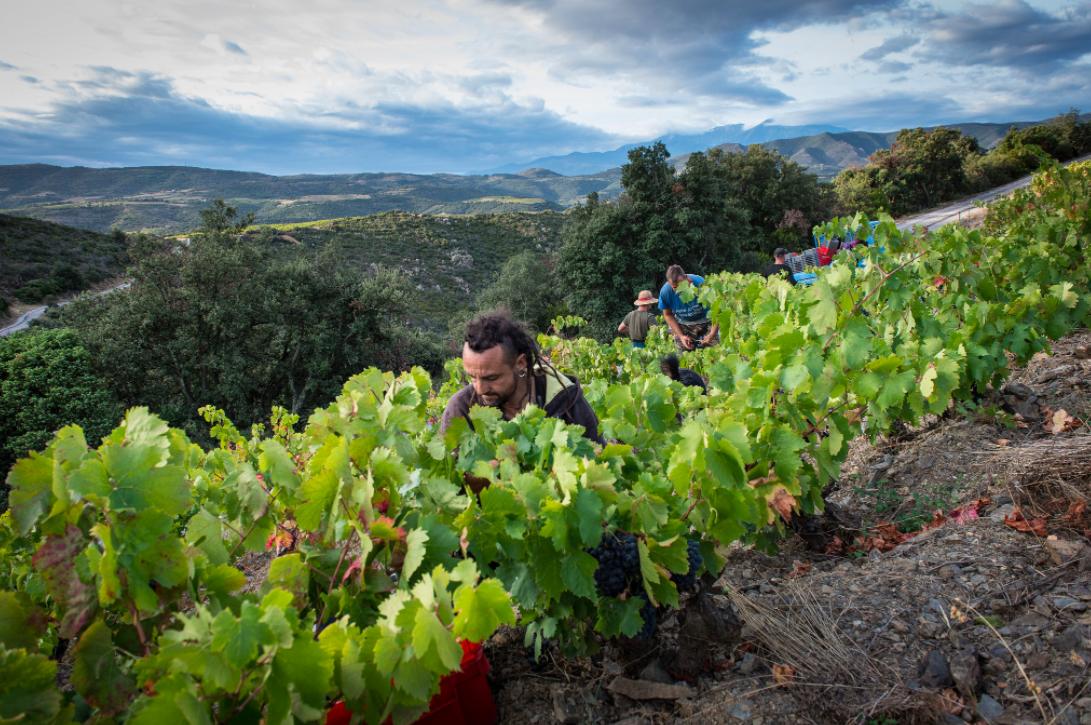 Domaine des Enfants Domaine des Enfants