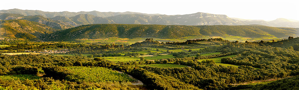 Domaine mas de Daumas Gassac Domaine mas de Daumas Gassac