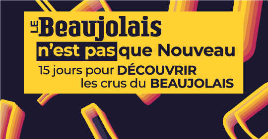 -10% sur tous les crus du Beaujolais !Jusqu'au 29 novembre